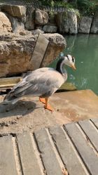 -红砖美术馆-红砖院子·宴会厅