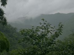 山顶-藏龙百瀑风景区