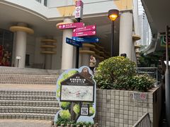 -山顶缆车