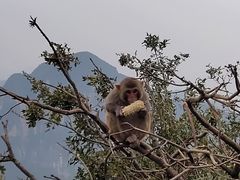 -重庆云阳龙缸景区