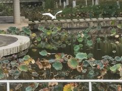 -厦门国家会计学院