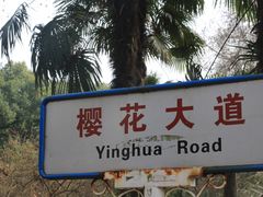 -武汉大学-樱园