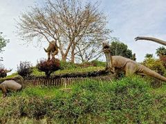 -自贡恐龙博物馆