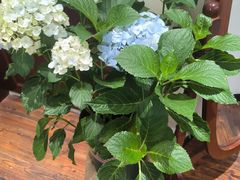 -初甜·舒芙蕾·韩式雪花冰(流塘店)