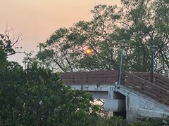 -宝安西湾红树林湿地公园