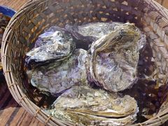 -蚝堡海鲜·威海菜·海肠捞饭·烧烤·亚洲吃蚝公司(幸福门店)