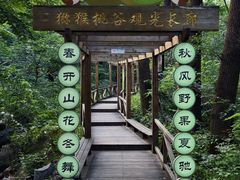 -大岭沟猕猴桃谷风景区