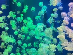 -成都浩海立方海洋公园