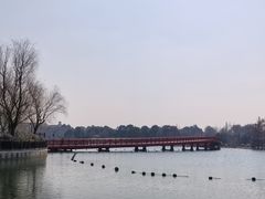 -星巴克(迪士尼小镇店)