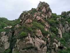 -大岭沟猕猴桃谷风景区