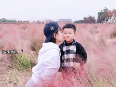 -映月湖中央公园