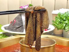 -蜀九香火锅(彩虹店)