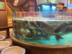 -魏铭鱼头捞饭(晋阳路店)