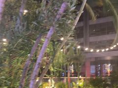 -CIAO·团建聚餐·生日派对轰趴馆(福田店)