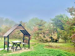 -大兴滨河森林公园