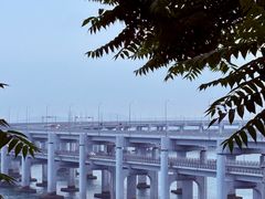 -星海湾跨海大桥