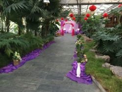 android_upload_pic-保定金沙芝柏婚礼策划