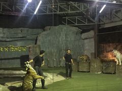 -清迈夜间动物园