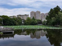-范蠡湖公园
