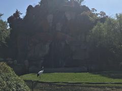 凤凰山-沈阳鸟岛