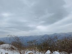 -武陵山森林公园