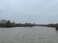 -盐城丹顶鹤湿地生态旅游区