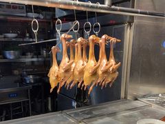 -三强鸽子(中原路店)