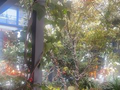 -海韵人家.海景花园经典云南菜(双廊店)