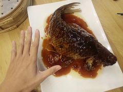 罾蹦鲤鱼-陈傻子餐厅(世纪都会店)