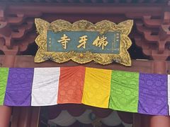 -新加坡佛牙寺龙华院
