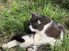 -西园寺素食(西园弄戒幢律寺店)