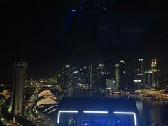 -新加坡摩天观景轮