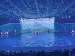 -海合安青岛极地海洋公园