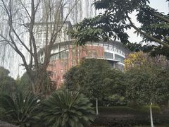 -四川师范大学（成龙校区）-图书馆