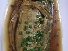 -老牌坊鲁菜名店(聊城美食岛店)