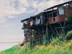 -菜园坝水果市场