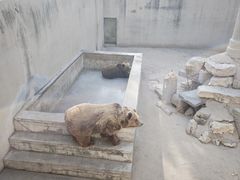 -保定市动物园