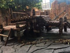 -泉州海丝野生动物世界