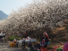 -广州市流溪河国家森林公园