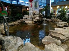 android_upload_pic-森谷美食公园(杨行店)