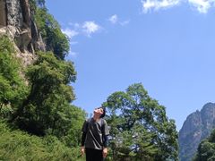 -青峰峡国家森林公园