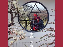 -香雪海