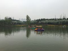 -秀丽东方