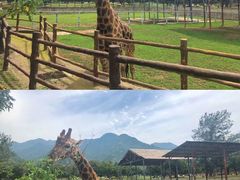-西安秦岭野生动物园