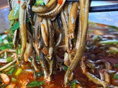 鳝丝-乐山第一家临江鳝丝(茶坊路店)