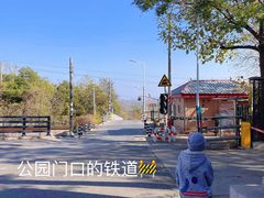 -北京鹫峰国家森林公园