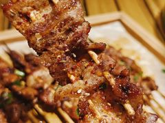 -山野的朋友露营炭火烤肉