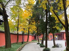 -成都武侯祠博物馆