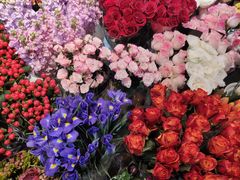 -双季花艺园艺市场(浦东店)