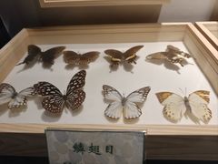 -中山市树木园